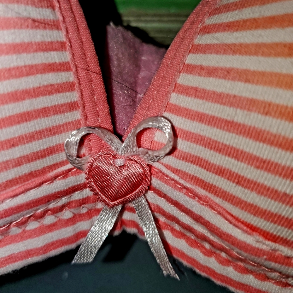 Preloved Bra - Picture 2 of 4